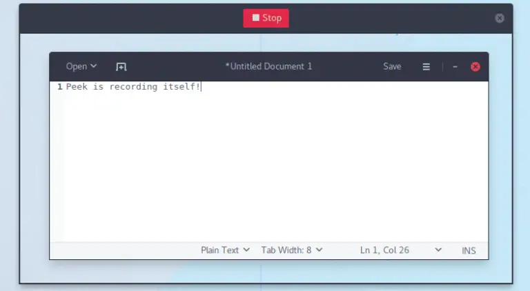 How to Screen Record and Save it as Gif on Ubuntu using Peek