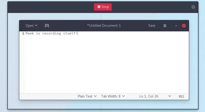How to Screen Record and Save it as Gif on Ubuntu using Peek